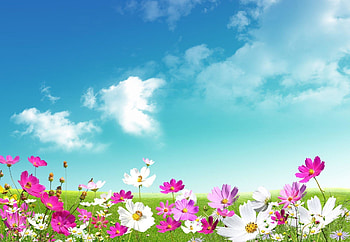 springtime – 1920Ã1329 High Definition . HD wallpaper